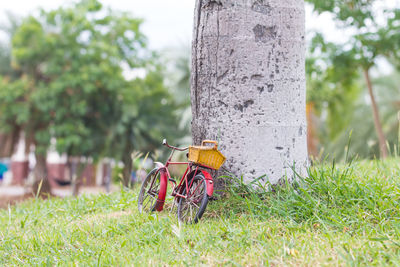 Bicycle leaning on tree trunk in field
