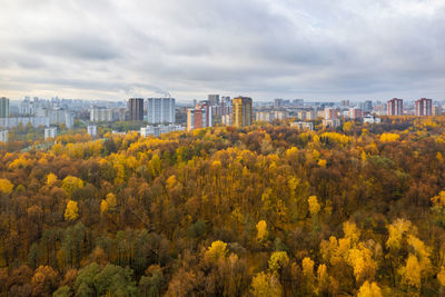 View of trees and cityscape against sky