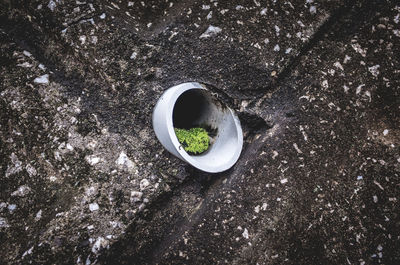 High angle view of food on table