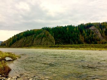 Scenic view of river amidst trees against sky