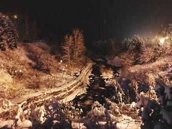 Aerial view of illuminated trees in forest during winter