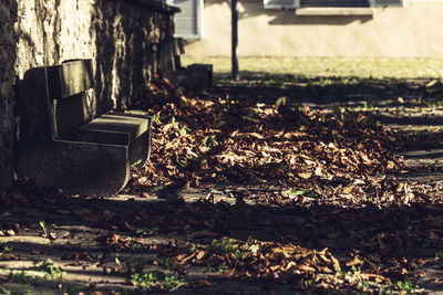 Close-up of old cemetery on field