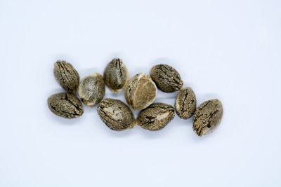 High angle view of cookies against white background