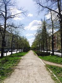 Walkway amidst trees against sky