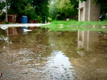 Reflection of puddle in water