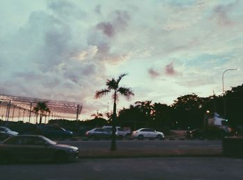 Cars on palm trees against sky