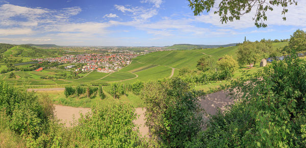 Scenic view of agricultural field against sky