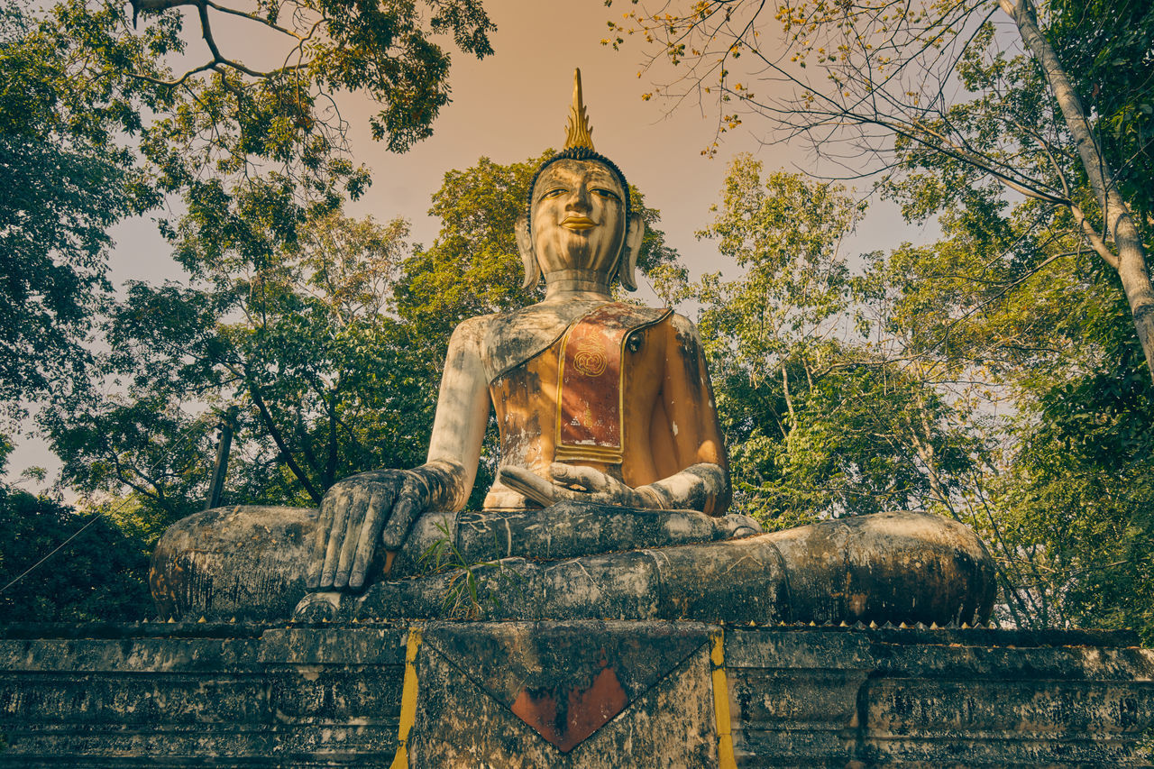 LOW ANGLE VIEW OF STATUE AGAINST TREES AGAINST SKY