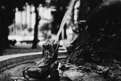 Close-up of horse statue