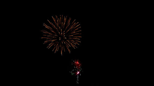 Low angle view of firework display at night