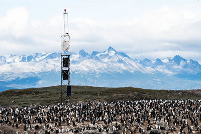 Bird island in the beagle channel. ushuaia is the capital of tierra del fuego province in argentina.