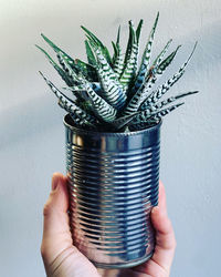 Close-up of hand holding potted plant against wall