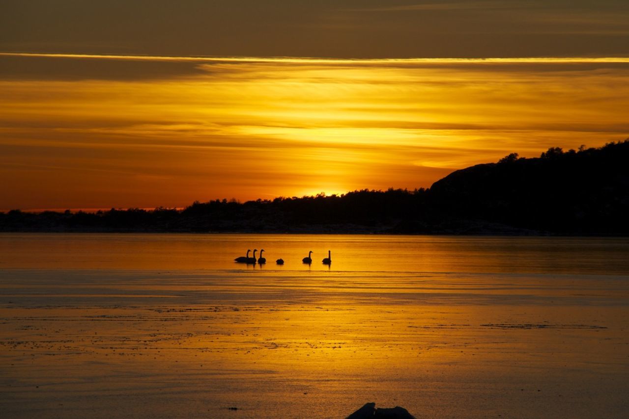 sunset, water, silhouette, scenics, orange color, sky, tranquil scene, beauty in nature, tranquility, beach, nature, idyllic, cloud - sky, sea, reflection, shore, lake, unrecognizable person, cloud