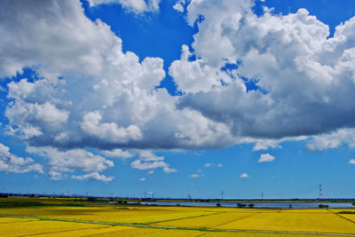 Scenic view of field against sky