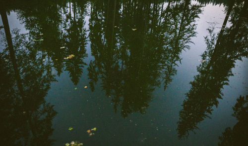 Reflection of trees in lake against sky