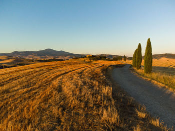 Scenic view of field against clear sky