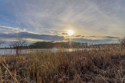 Scenic view of field against sky during sunset