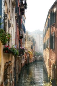 View of canal in city