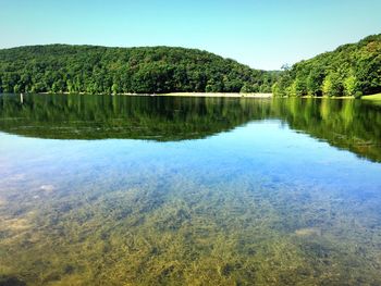 Reflection of trees in calm lake