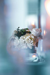 Close-up of white roses in vase on table