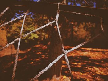 Close-up of swing hanging on rope