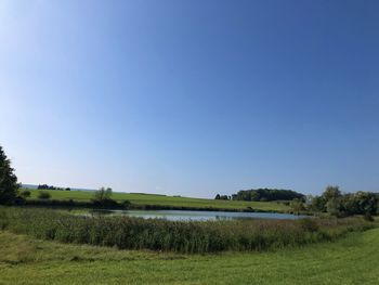 Scenic view of field against clear sky