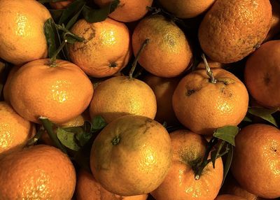 Full frame shot of oranges