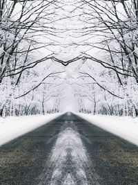 Road amidst trees against sky during winter