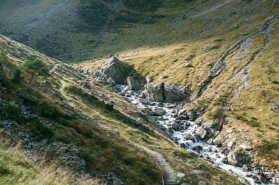 Scenic view of landscape