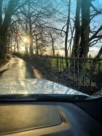 View of road through bare trees in the forest