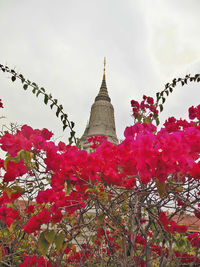 View of flower trees against sky