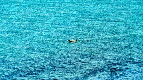 High angle view of person swimming in sea