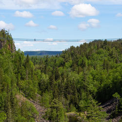 Scenic view of forest against sky