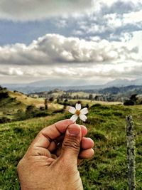 Close-up of hand holding flower on field against sky
