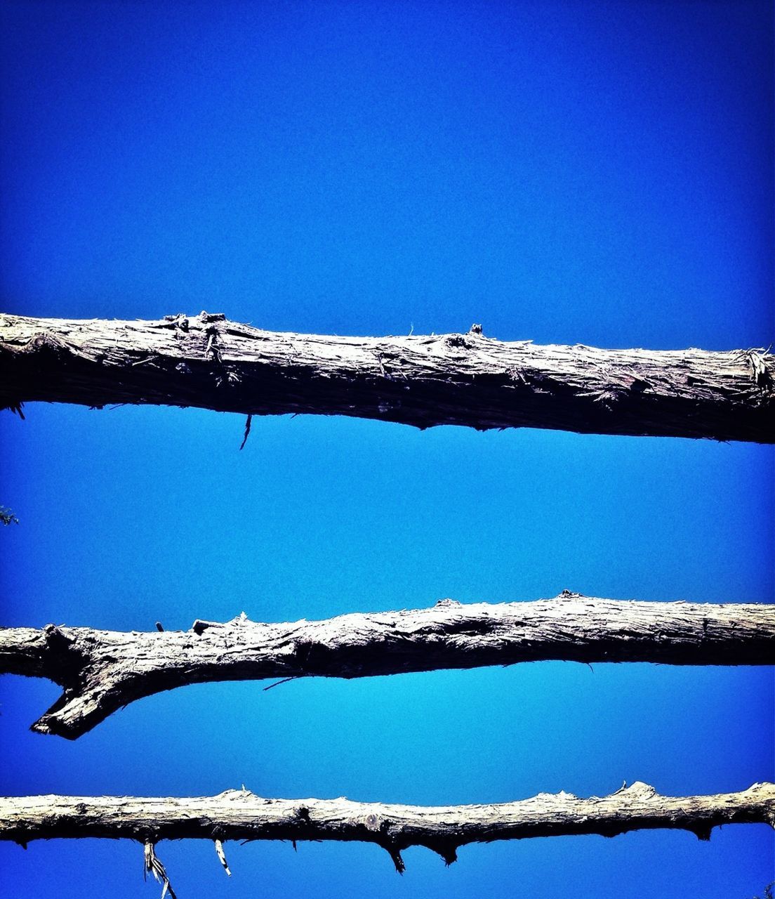 blue, clear sky, low angle view, snow, cold temperature, winter, copy space, built structure, architecture, bare tree, day, outdoors, nature, building exterior, fence, branch, wood - material, no people, barbed wire, sunlight