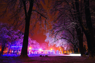 Illuminated trees in city against sky at night