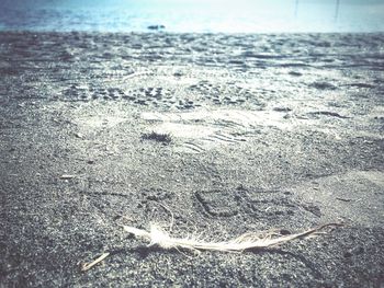 Close-up of wave on beach against sky