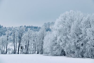 Snow covered land and trees against sky