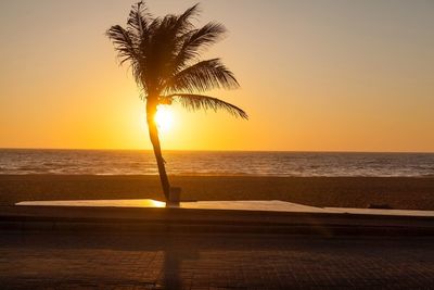 Silhouette palm tree by swimming pool against sky during sunset