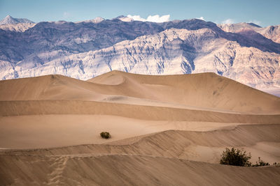 Scenic view of desert against mountains