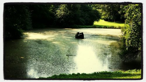 water