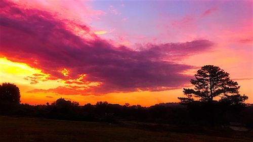 Silhouette trees on landscape against dramatic sky during sunset