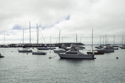 Sailboats moored on harbor against sky