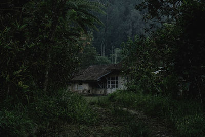 House on field by trees in forest