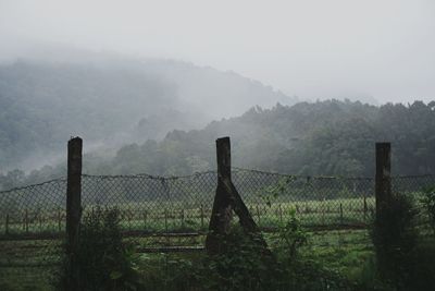 Fence on landscape during foggy weather