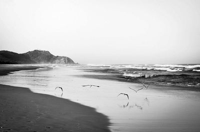 Scenic view of sea against clear sky