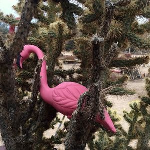 Close-up of man with pink umbrella against trees