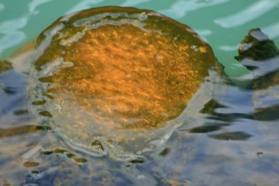 Close-up of water flowing in sea