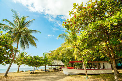 Palm trees on beach against sky