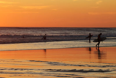 Silhouette surfers walking on the beach